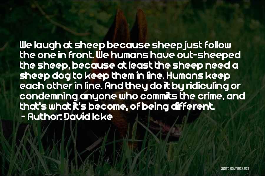 David Icke Quotes: We Laugh At Sheep Because Sheep Just Follow The One In Front. We Humans Have Out-sheeped The Sheep, Because At