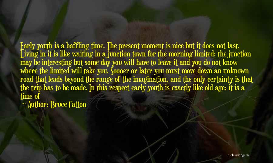 Bruce Catton Quotes: Early Youth Is A Baffling Time. The Present Moment Is Nice But It Does Not Last. Living In It Is