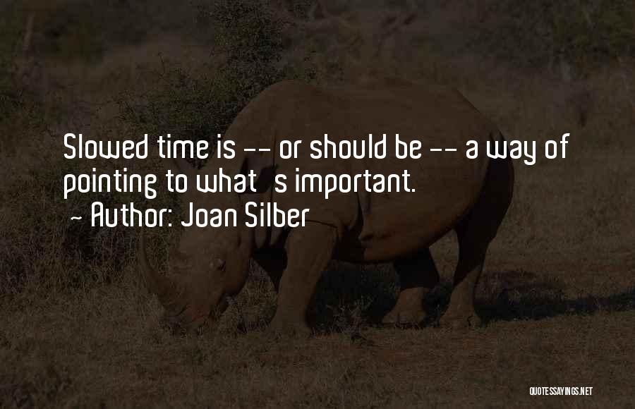 Joan Silber Quotes: Slowed Time Is -- Or Should Be -- A Way Of Pointing To What's Important.