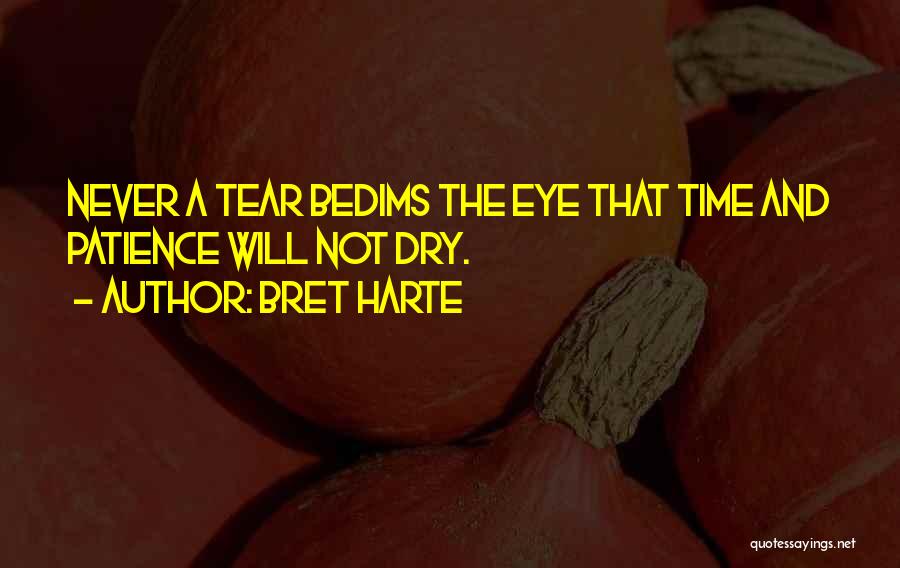 Bret Harte Quotes: Never A Tear Bedims The Eye That Time And Patience Will Not Dry.