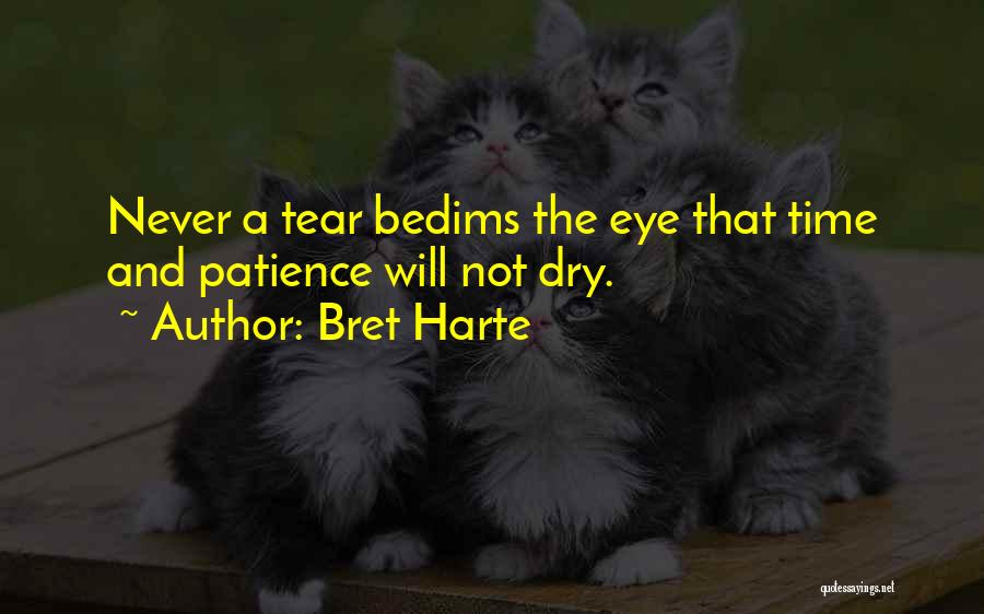 Bret Harte Quotes: Never A Tear Bedims The Eye That Time And Patience Will Not Dry.