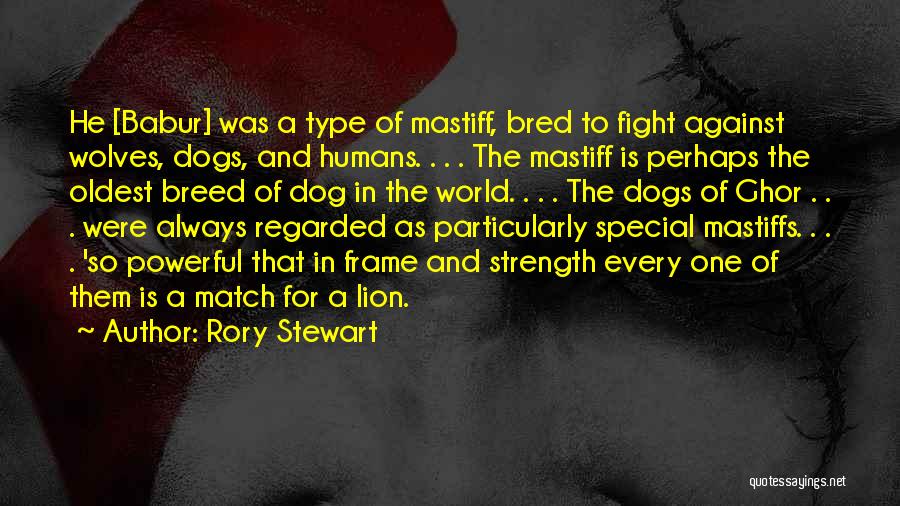 Rory Stewart Quotes: He [babur] Was A Type Of Mastiff, Bred To Fight Against Wolves, Dogs, And Humans. . . . The Mastiff