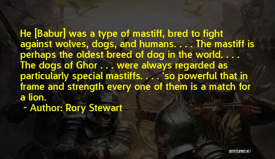 Rory Stewart Quotes: He [babur] Was A Type Of Mastiff, Bred To Fight Against Wolves, Dogs, And Humans. . . . The Mastiff