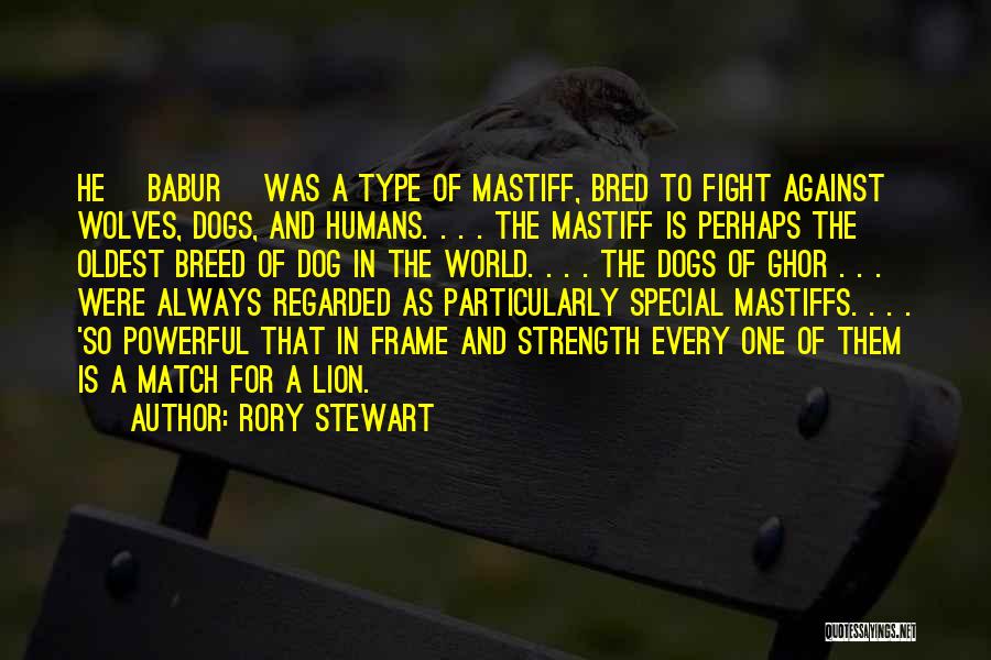 Rory Stewart Quotes: He [babur] Was A Type Of Mastiff, Bred To Fight Against Wolves, Dogs, And Humans. . . . The Mastiff