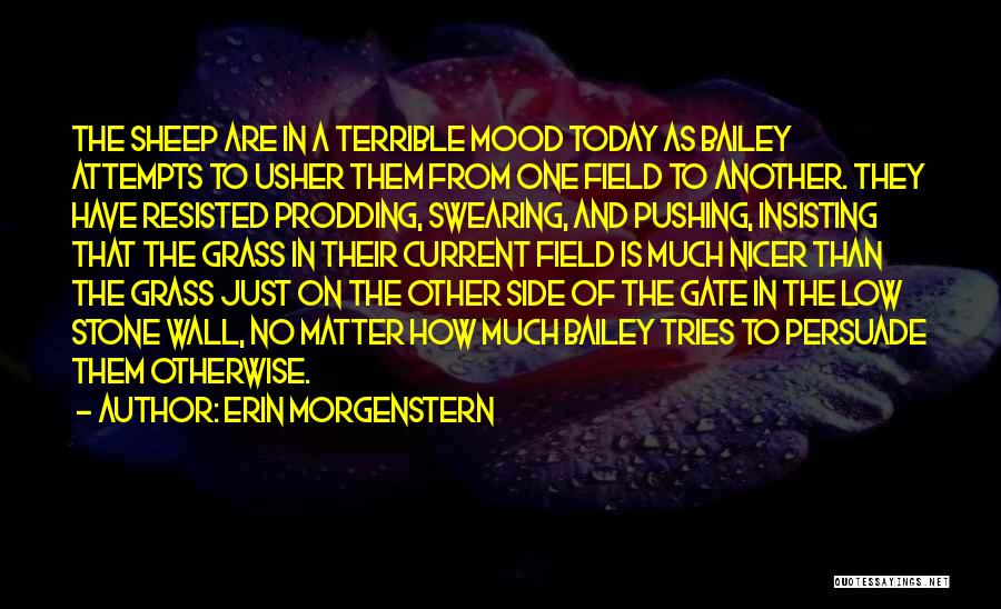 Erin Morgenstern Quotes: The Sheep Are In A Terrible Mood Today As Bailey Attempts To Usher Them From One Field To Another. They