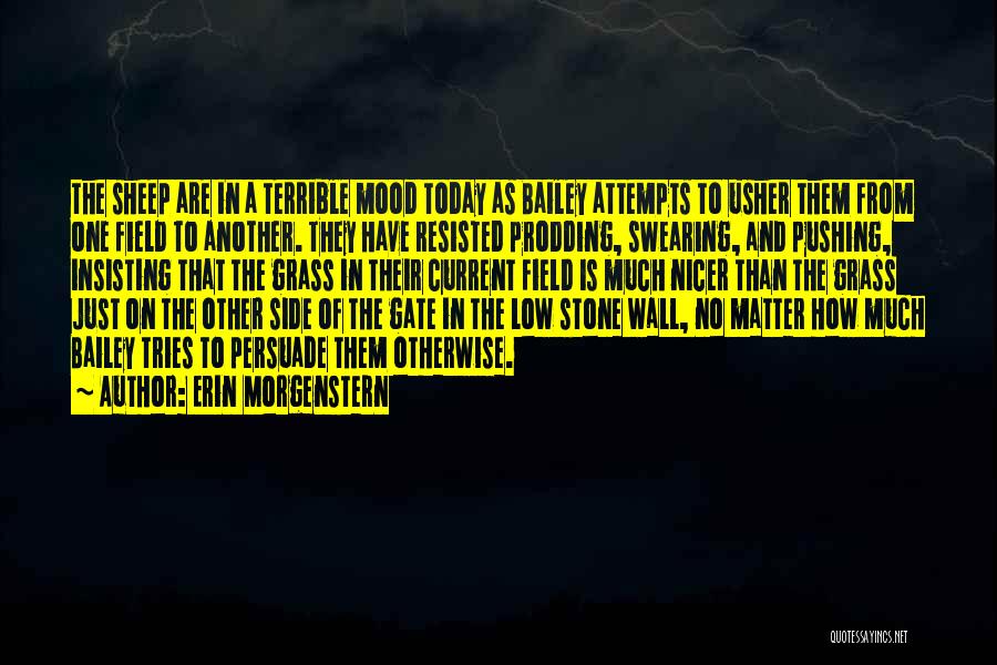 Erin Morgenstern Quotes: The Sheep Are In A Terrible Mood Today As Bailey Attempts To Usher Them From One Field To Another. They