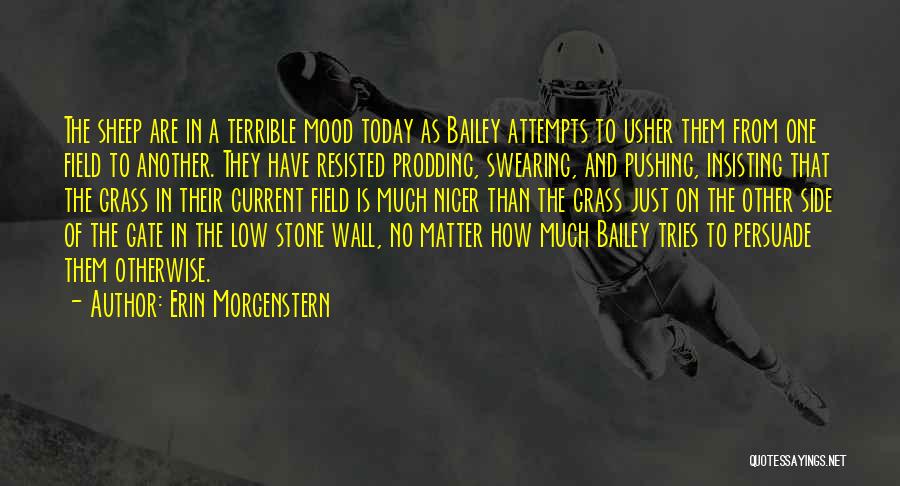 Erin Morgenstern Quotes: The Sheep Are In A Terrible Mood Today As Bailey Attempts To Usher Them From One Field To Another. They