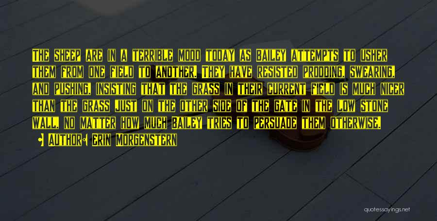 Erin Morgenstern Quotes: The Sheep Are In A Terrible Mood Today As Bailey Attempts To Usher Them From One Field To Another. They