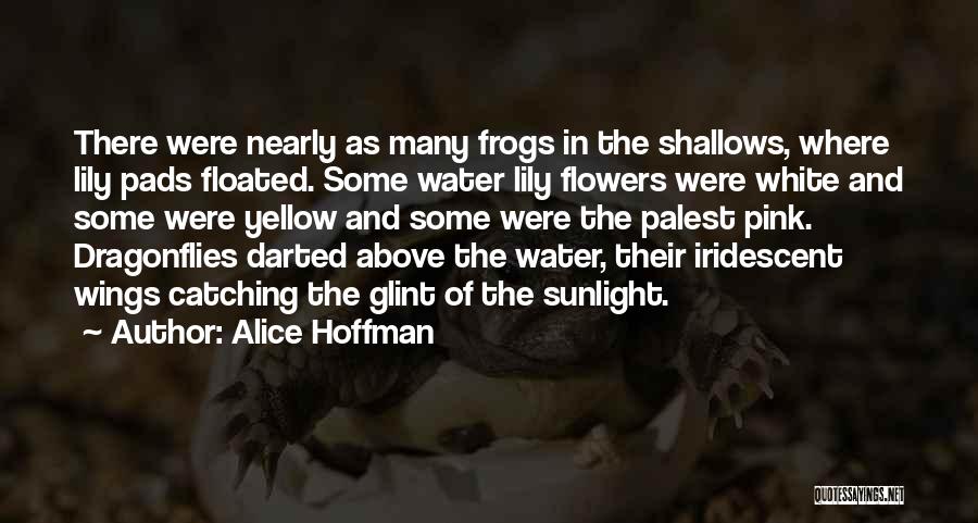 Alice Hoffman Quotes: There Were Nearly As Many Frogs In The Shallows, Where Lily Pads Floated. Some Water Lily Flowers Were White And