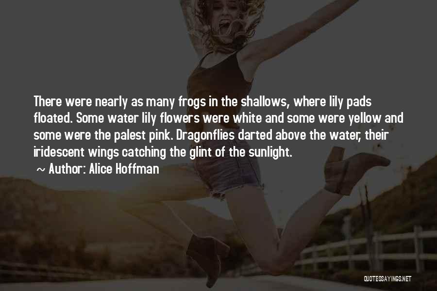 Alice Hoffman Quotes: There Were Nearly As Many Frogs In The Shallows, Where Lily Pads Floated. Some Water Lily Flowers Were White And