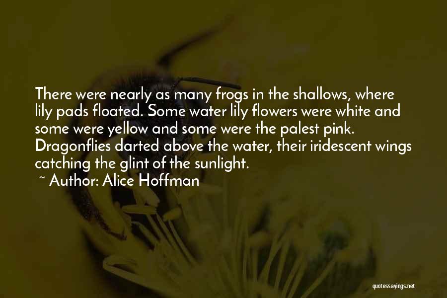 Alice Hoffman Quotes: There Were Nearly As Many Frogs In The Shallows, Where Lily Pads Floated. Some Water Lily Flowers Were White And