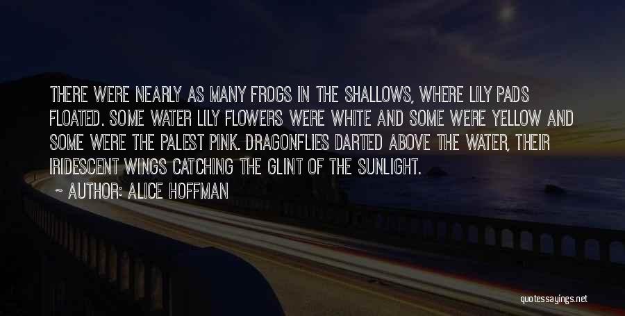 Alice Hoffman Quotes: There Were Nearly As Many Frogs In The Shallows, Where Lily Pads Floated. Some Water Lily Flowers Were White And