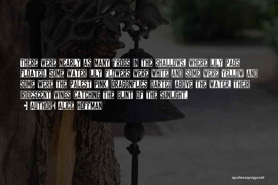 Alice Hoffman Quotes: There Were Nearly As Many Frogs In The Shallows, Where Lily Pads Floated. Some Water Lily Flowers Were White And