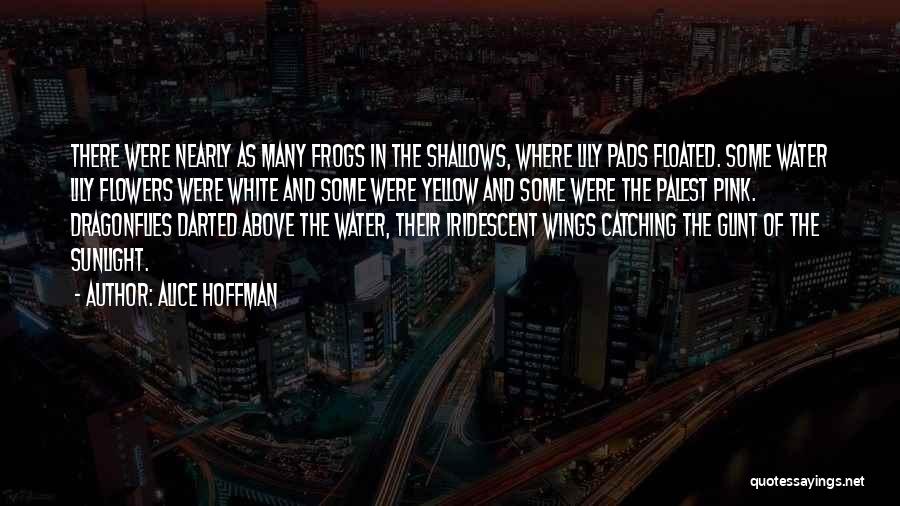 Alice Hoffman Quotes: There Were Nearly As Many Frogs In The Shallows, Where Lily Pads Floated. Some Water Lily Flowers Were White And