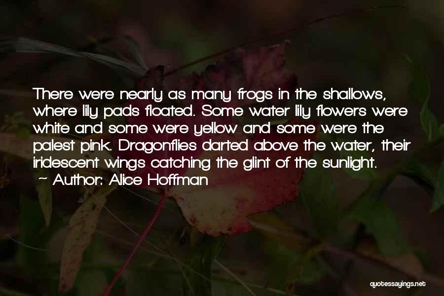 Alice Hoffman Quotes: There Were Nearly As Many Frogs In The Shallows, Where Lily Pads Floated. Some Water Lily Flowers Were White And