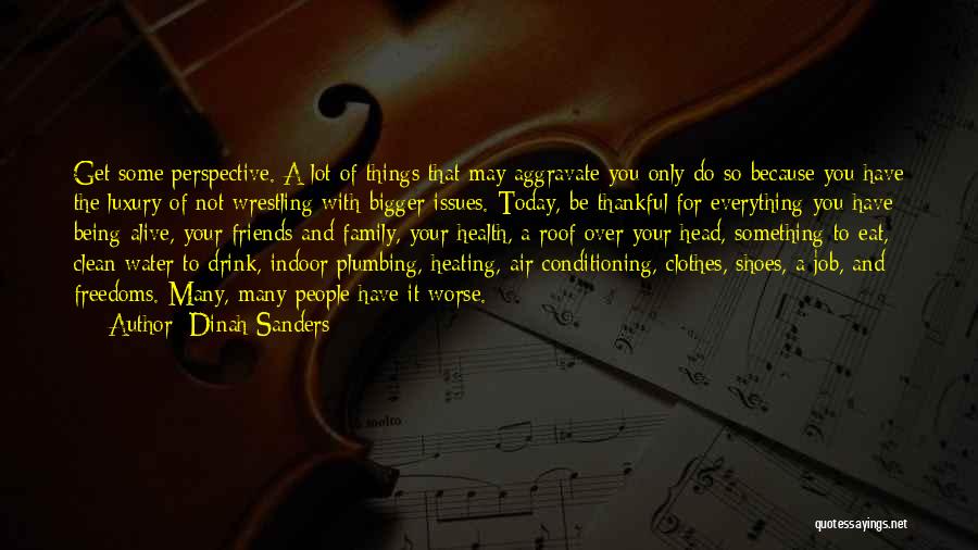 Dinah Sanders Quotes: Get Some Perspective. A Lot Of Things That May Aggravate You Only Do So Because You Have The Luxury Of