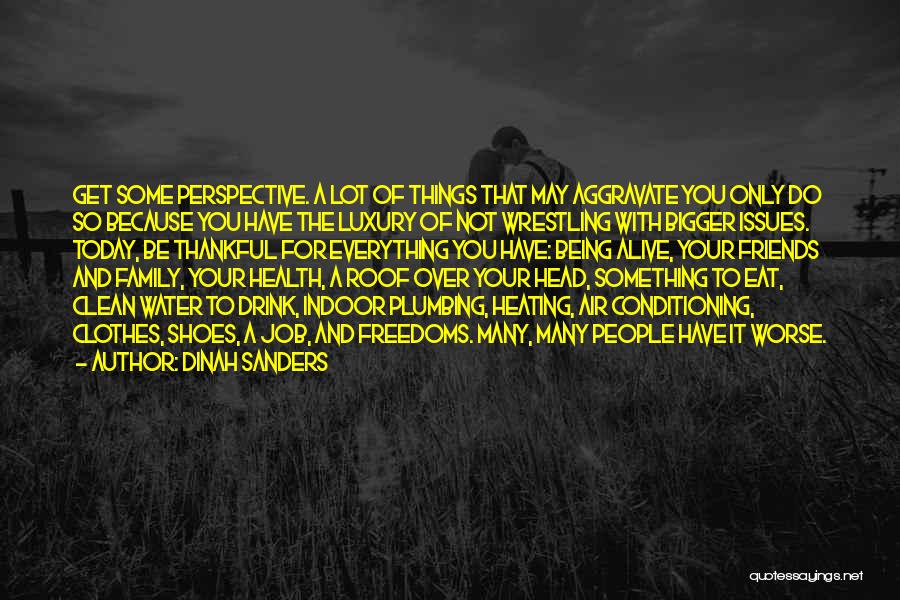 Dinah Sanders Quotes: Get Some Perspective. A Lot Of Things That May Aggravate You Only Do So Because You Have The Luxury Of