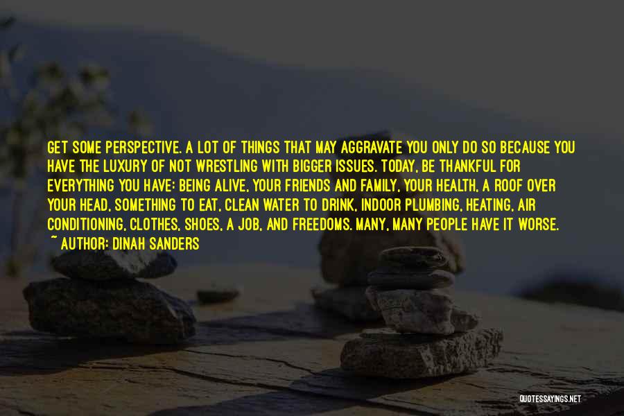 Dinah Sanders Quotes: Get Some Perspective. A Lot Of Things That May Aggravate You Only Do So Because You Have The Luxury Of