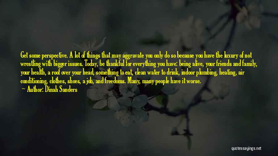 Dinah Sanders Quotes: Get Some Perspective. A Lot Of Things That May Aggravate You Only Do So Because You Have The Luxury Of