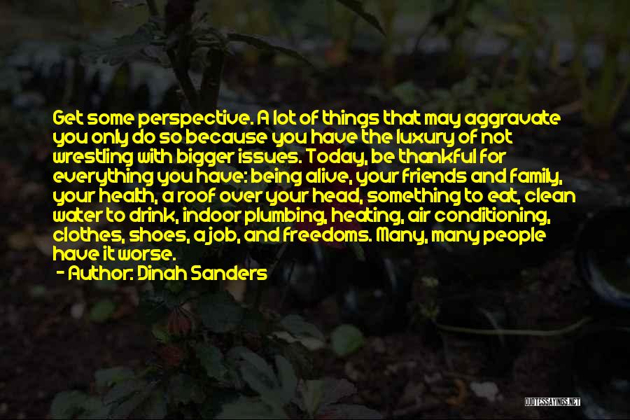 Dinah Sanders Quotes: Get Some Perspective. A Lot Of Things That May Aggravate You Only Do So Because You Have The Luxury Of