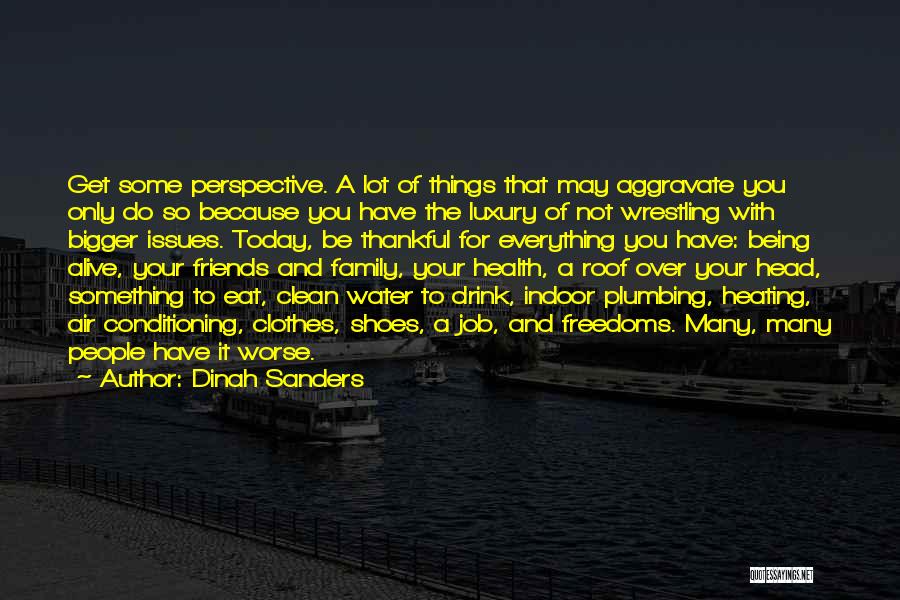 Dinah Sanders Quotes: Get Some Perspective. A Lot Of Things That May Aggravate You Only Do So Because You Have The Luxury Of