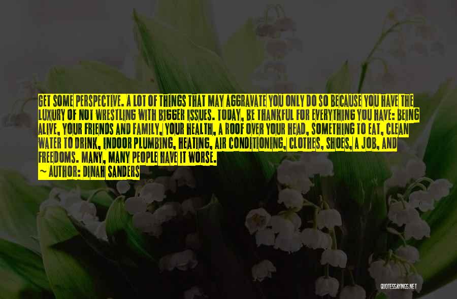 Dinah Sanders Quotes: Get Some Perspective. A Lot Of Things That May Aggravate You Only Do So Because You Have The Luxury Of