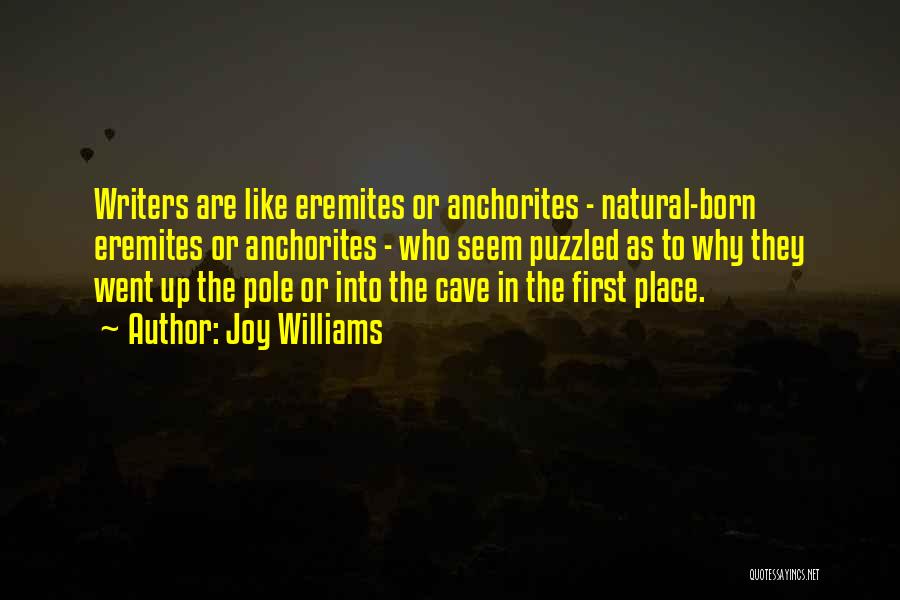 Joy Williams Quotes: Writers Are Like Eremites Or Anchorites - Natural-born Eremites Or Anchorites - Who Seem Puzzled As To Why They Went