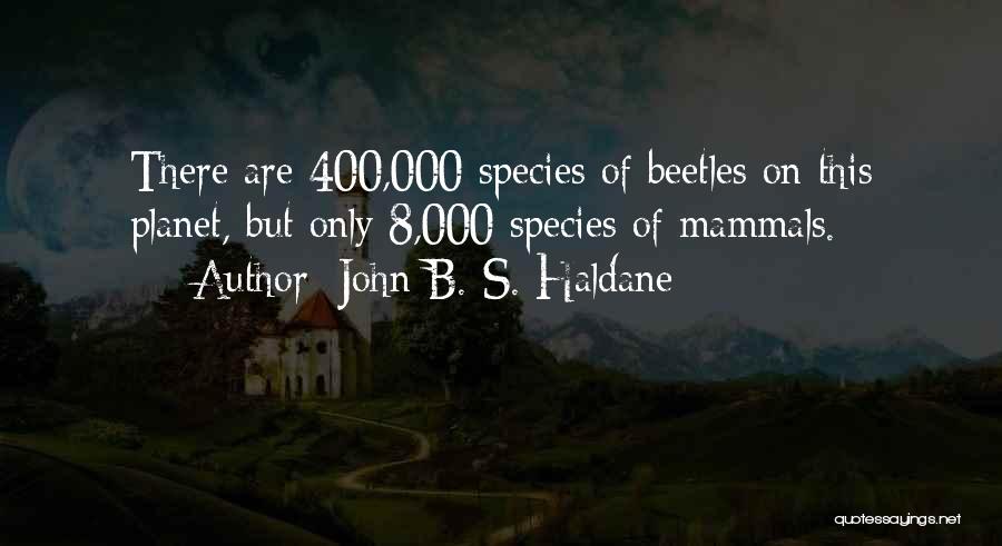 John B. S. Haldane Quotes: There Are 400,000 Species Of Beetles On This Planet, But Only 8,000 Species Of Mammals.