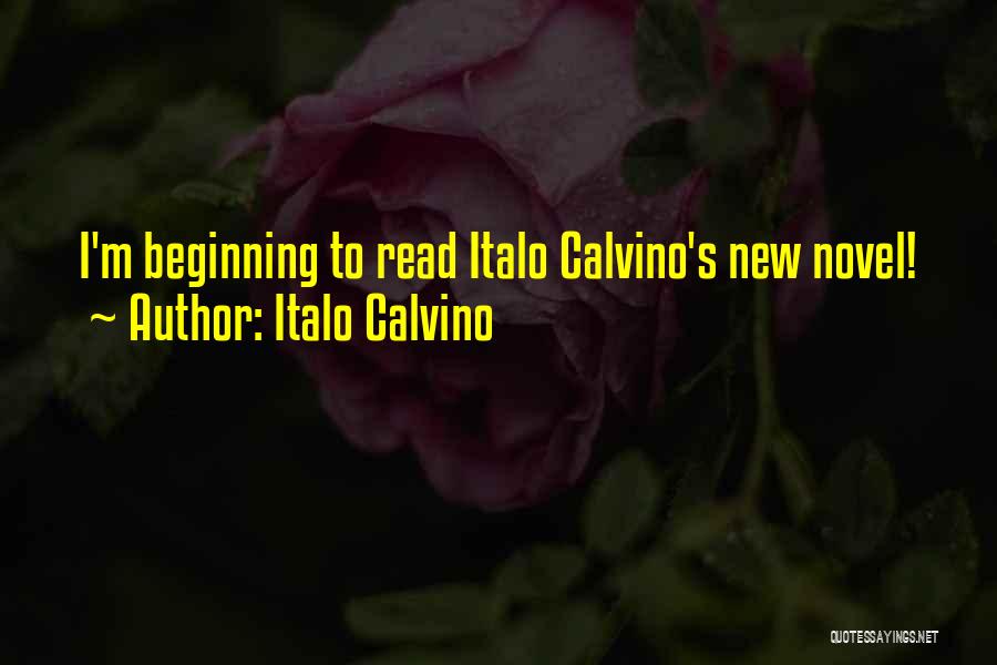 Italo Calvino Quotes: I'm Beginning To Read Italo Calvino's New Novel!