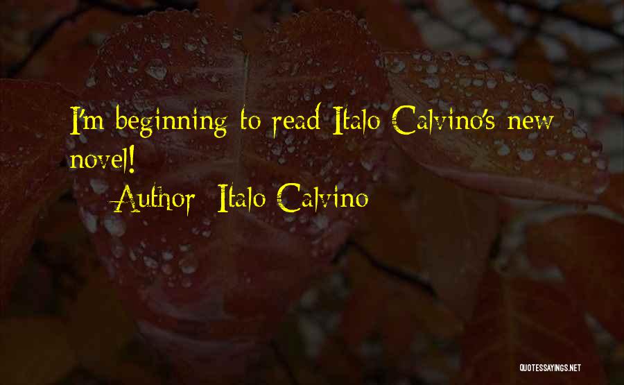Italo Calvino Quotes: I'm Beginning To Read Italo Calvino's New Novel!