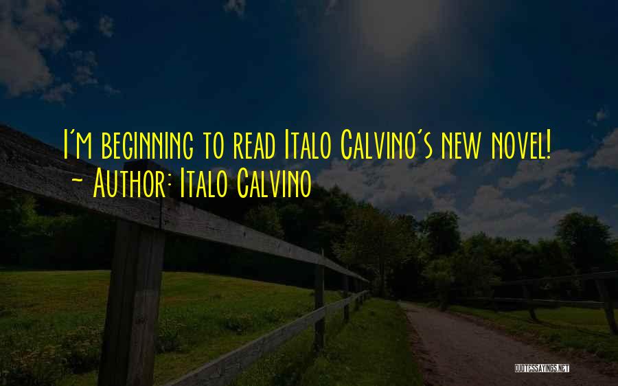 Italo Calvino Quotes: I'm Beginning To Read Italo Calvino's New Novel!