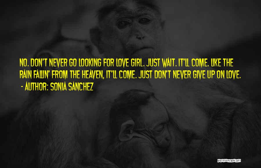 Sonia Sanchez Quotes: No. Don't Never Go Looking For Love Girl. Just Wait. It'll Come. Like The Rain Fallin' From The Heaven, It'll