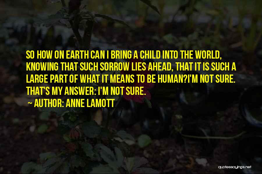 Anne Lamott Quotes: So How On Earth Can I Bring A Child Into The World, Knowing That Such Sorrow Lies Ahead, That It