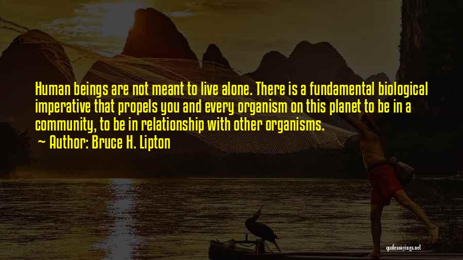 Bruce H. Lipton Quotes: Human Beings Are Not Meant To Live Alone. There Is A Fundamental Biological Imperative That Propels You And Every Organism