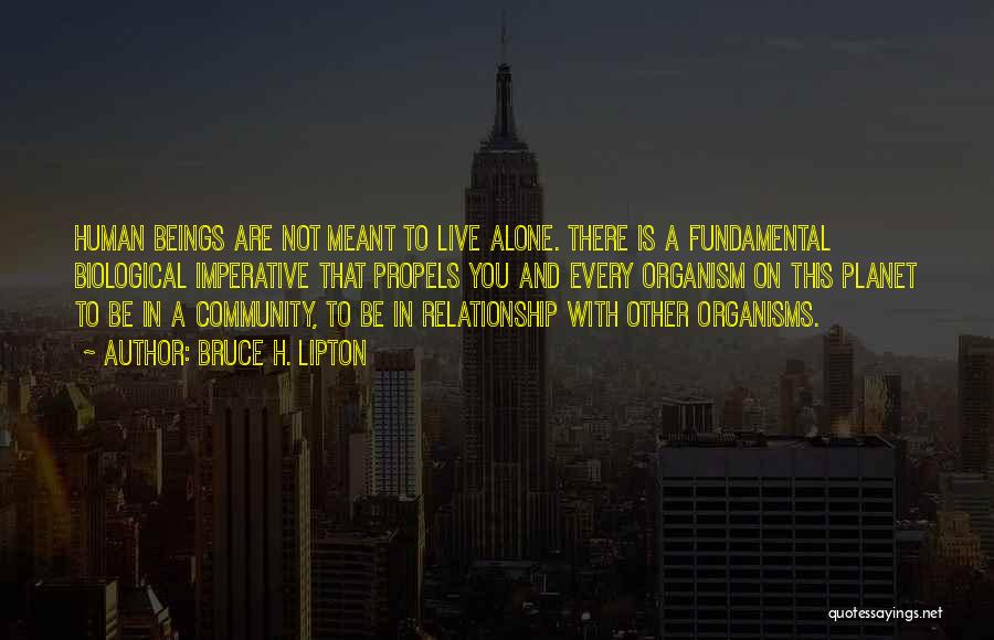 Bruce H. Lipton Quotes: Human Beings Are Not Meant To Live Alone. There Is A Fundamental Biological Imperative That Propels You And Every Organism