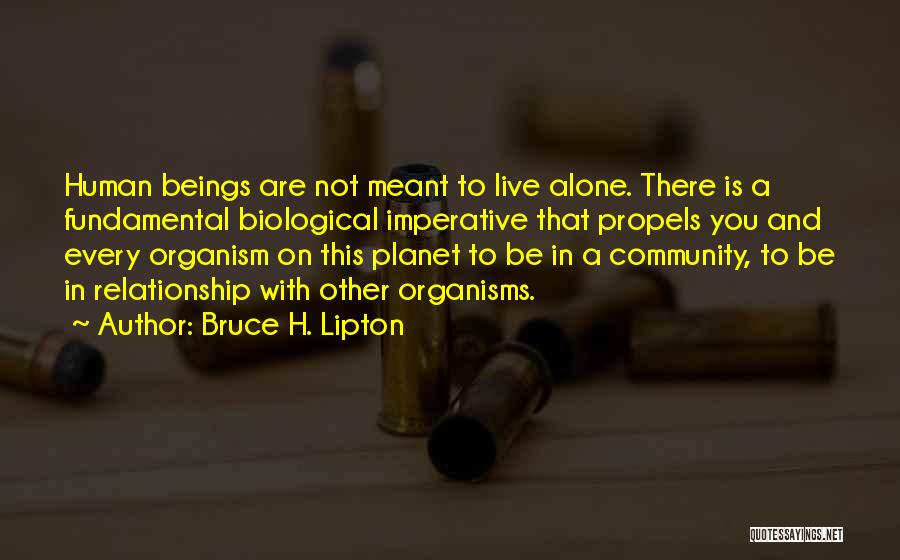 Bruce H. Lipton Quotes: Human Beings Are Not Meant To Live Alone. There Is A Fundamental Biological Imperative That Propels You And Every Organism