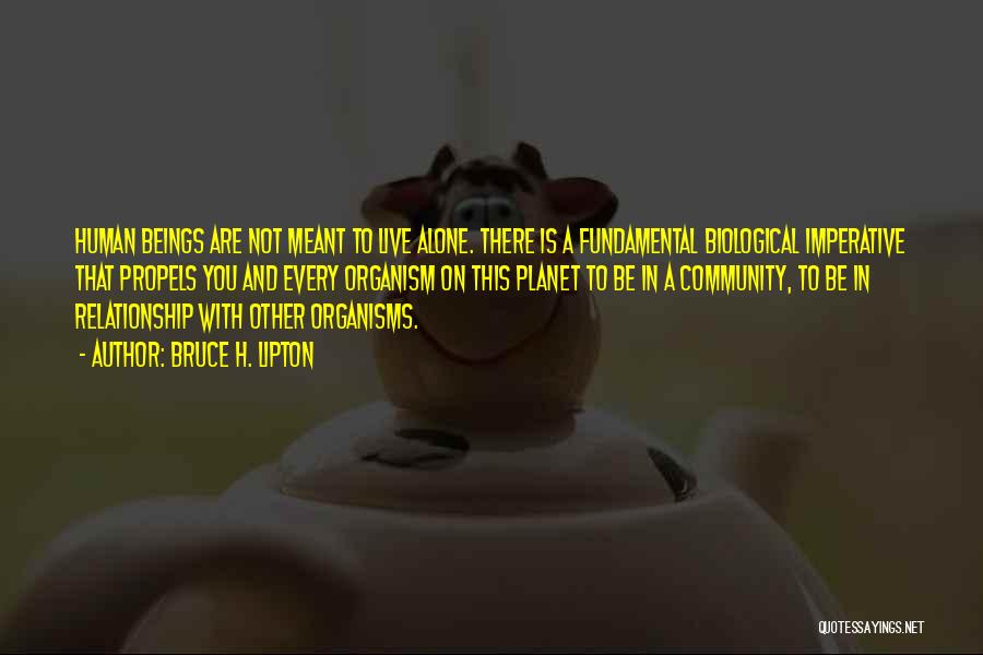 Bruce H. Lipton Quotes: Human Beings Are Not Meant To Live Alone. There Is A Fundamental Biological Imperative That Propels You And Every Organism
