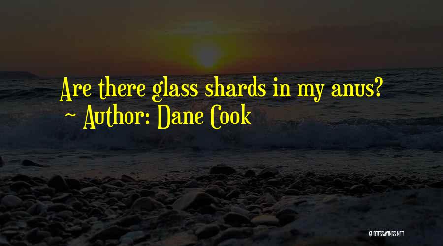Dane Cook Quotes: Are There Glass Shards In My Anus?