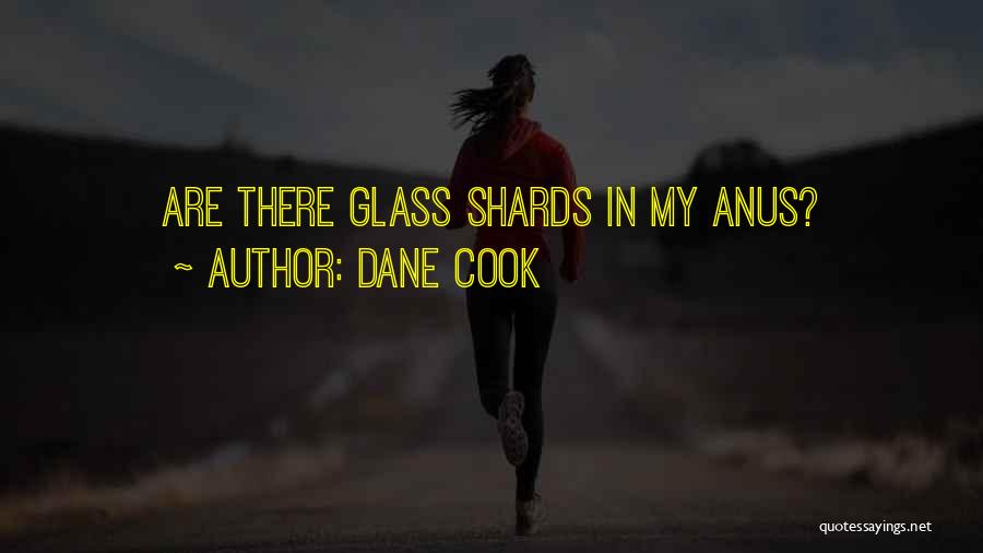 Dane Cook Quotes: Are There Glass Shards In My Anus?