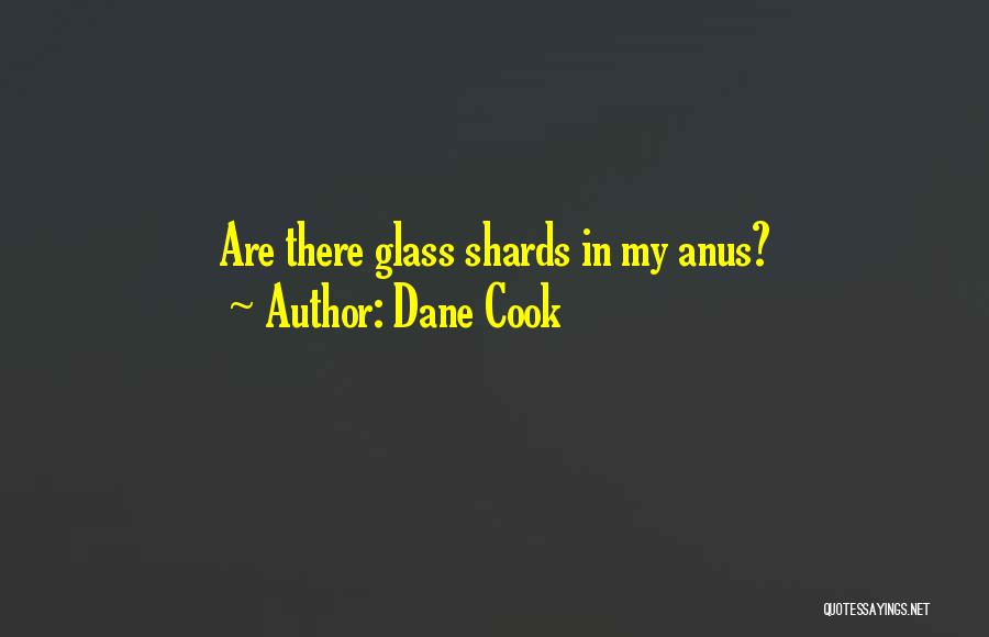 Dane Cook Quotes: Are There Glass Shards In My Anus?