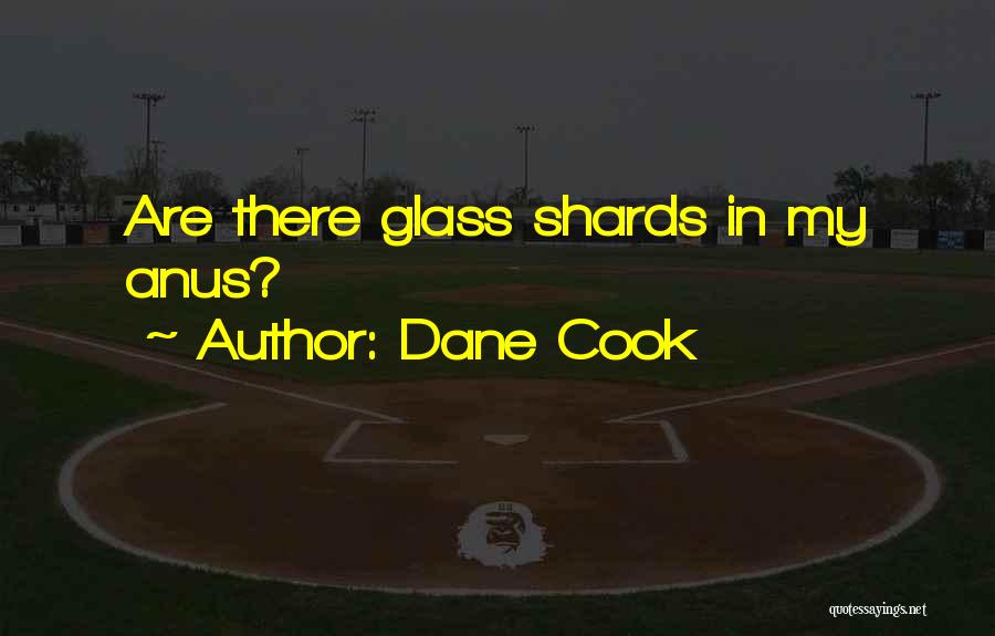 Dane Cook Quotes: Are There Glass Shards In My Anus?