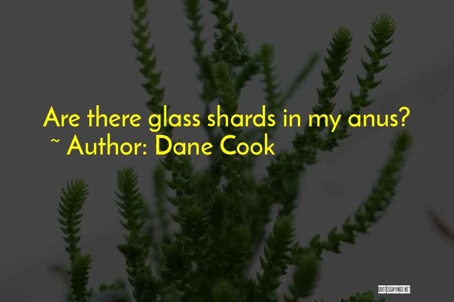 Dane Cook Quotes: Are There Glass Shards In My Anus?