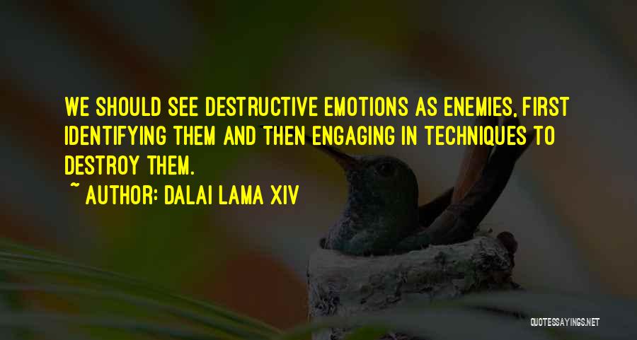 Dalai Lama XIV Quotes: We Should See Destructive Emotions As Enemies, First Identifying Them And Then Engaging In Techniques To Destroy Them.