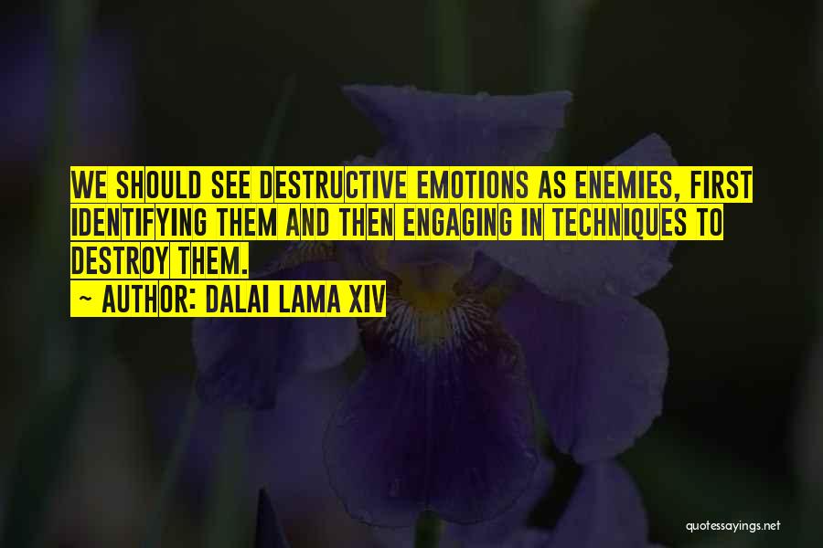 Dalai Lama XIV Quotes: We Should See Destructive Emotions As Enemies, First Identifying Them And Then Engaging In Techniques To Destroy Them.