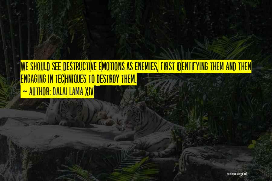 Dalai Lama XIV Quotes: We Should See Destructive Emotions As Enemies, First Identifying Them And Then Engaging In Techniques To Destroy Them.