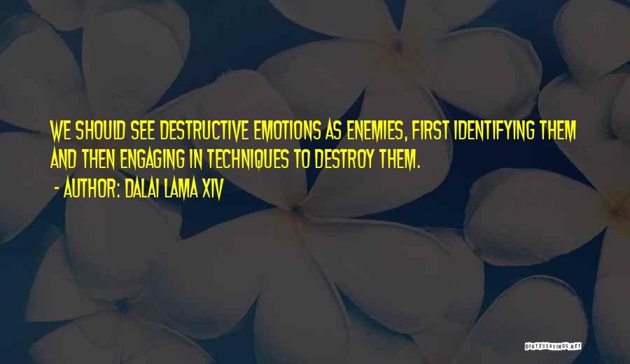 Dalai Lama XIV Quotes: We Should See Destructive Emotions As Enemies, First Identifying Them And Then Engaging In Techniques To Destroy Them.