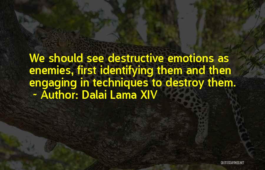 Dalai Lama XIV Quotes: We Should See Destructive Emotions As Enemies, First Identifying Them And Then Engaging In Techniques To Destroy Them.