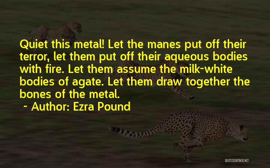 Ezra Pound Quotes: Quiet This Metal! Let The Manes Put Off Their Terror, Let Them Put Off Their Aqueous Bodies With Fire. Let