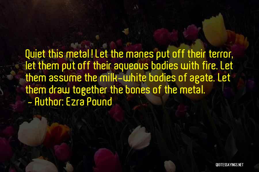 Ezra Pound Quotes: Quiet This Metal! Let The Manes Put Off Their Terror, Let Them Put Off Their Aqueous Bodies With Fire. Let