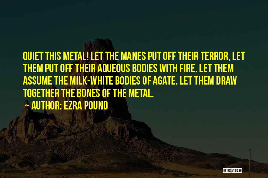 Ezra Pound Quotes: Quiet This Metal! Let The Manes Put Off Their Terror, Let Them Put Off Their Aqueous Bodies With Fire. Let